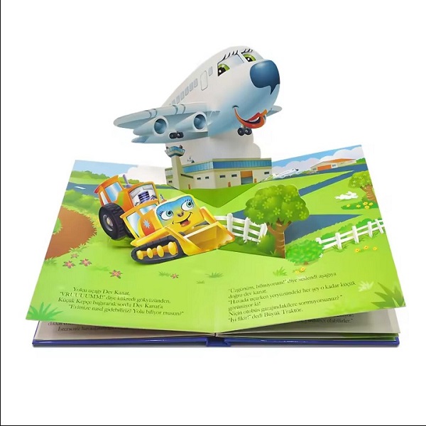 Pop Up Book