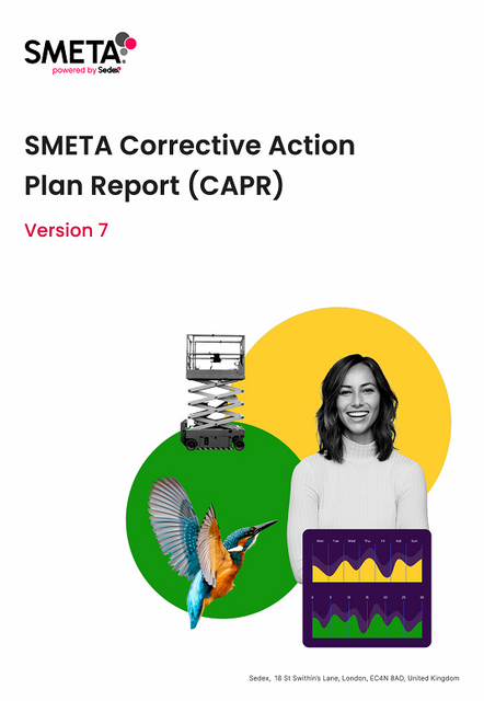 SMETA2